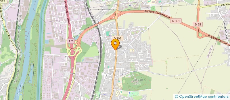 localisation de l'entreprise MADAME LETICIA ZORRILLA  FEYZIN