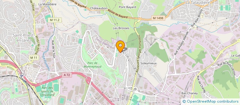 localisation de l'entreprise MADAME LEYLA KARACOR  SAINT-ETIENNE