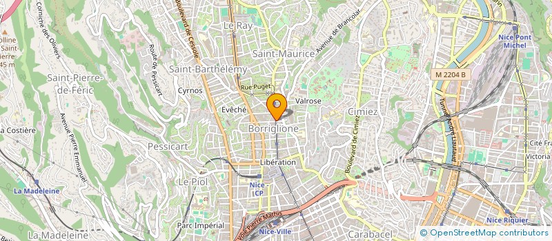 localisation de l'entreprise MADAME LEYLA SALEMI à NICE