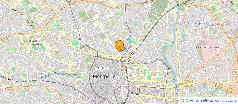 localisation de l'entreprise MADAME LI LU COULON à MONTPELLIER