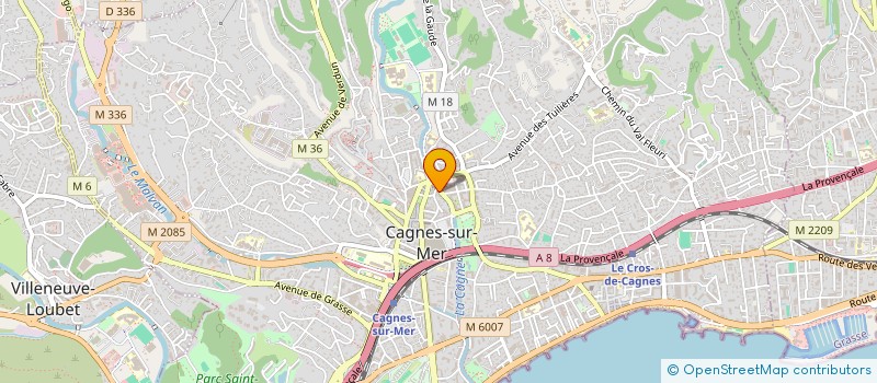 localisation de l'entreprise MADAME LIANA HETES PESTEAN  CAGNES-SUR-MER