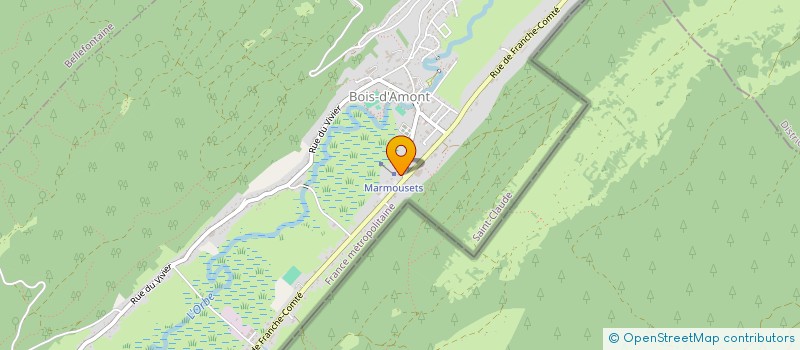 localisation de l'entreprise MADAME LIDA BASTIDAS VELASQUEZ  BOIS-D'AMONT