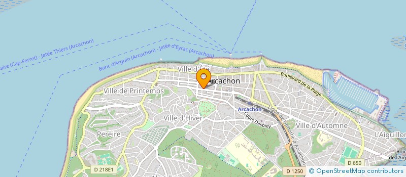localisation de l'entreprise MADAME LIDIA KOUZNETSOVA à ARCACHON