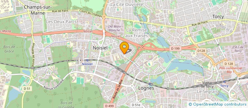 localisation de l'entreprise MADAME LIDIA STAN  NOISIEL