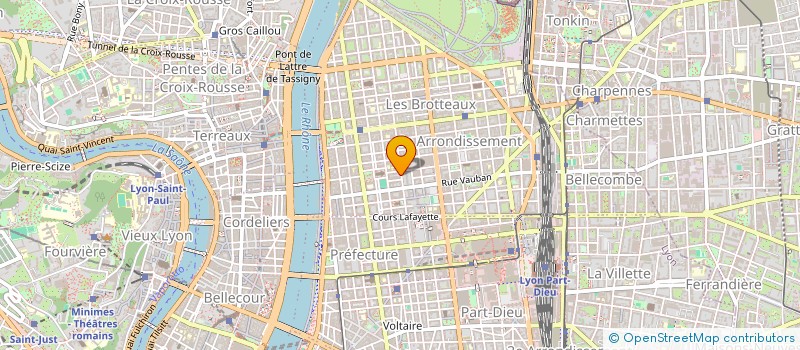 localisation de l'entreprise MADAME LIDIA STRAKHOVA  LYON