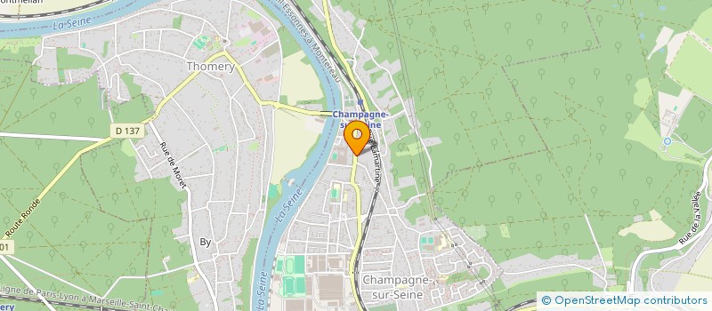 localisation de l'entreprise MADAME LIDWINE ODOUDEY  CHAMPAGNE-SUR-SEINE