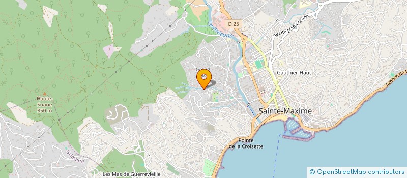 localisation de l'entreprise MADAME LIISA PALME à SAINTE MAXIME