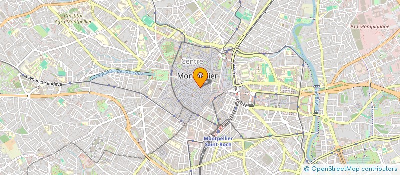 localisation de l'entreprise MADAME LILA ELAB à MONTPELLIER