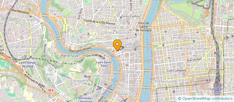 localisation de l'entreprise MADAME LILAS COGNET à LYON