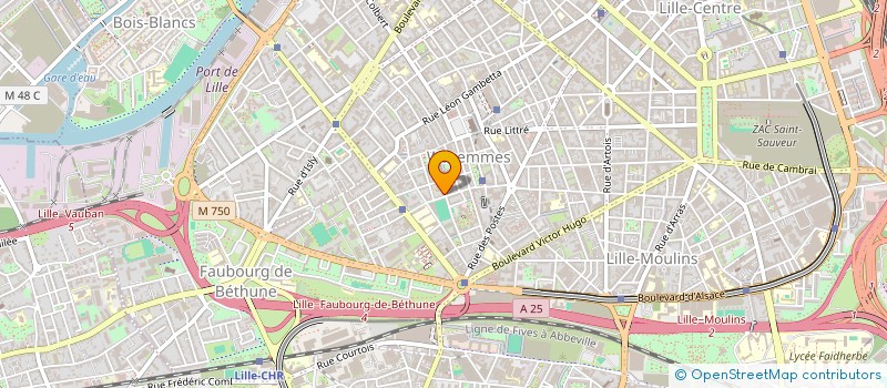 localisation de l'entreprise MADAME LILAS JALLAIS à LILLE