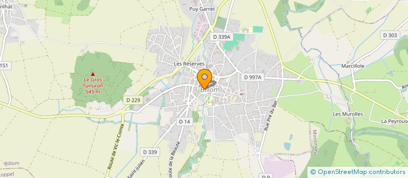 localisation de l'entreprise MADAME LILAS MALAN  BILLOM