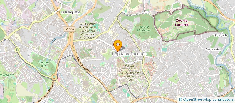 localisation de l'entreprise MADAME LILI BRUNA-ROSSO à MONTPELLIER