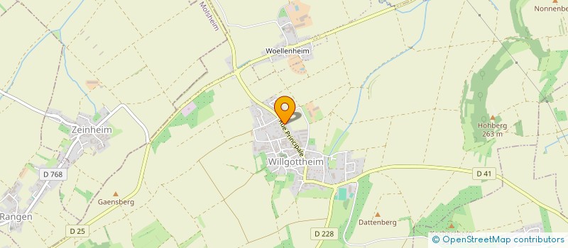 localisation de l'entreprise MADAME LILIANA BOGDANOVIC  WILLGOTTHEIM