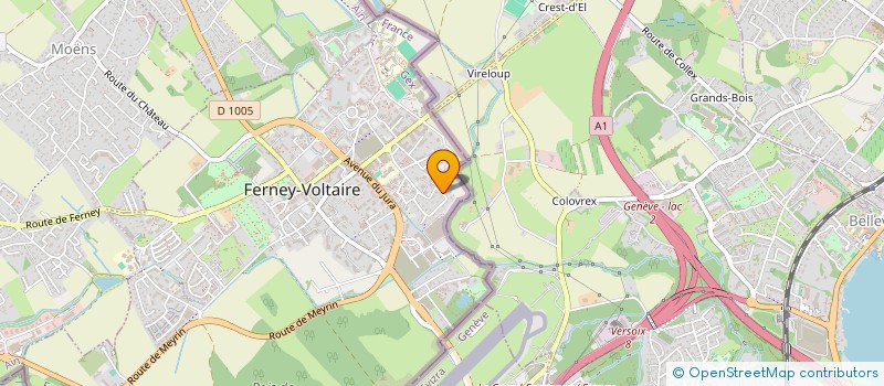 localisation de l'entreprise MADAME LILIANA ISHIHATA à FERNEY-VOLTAIRE