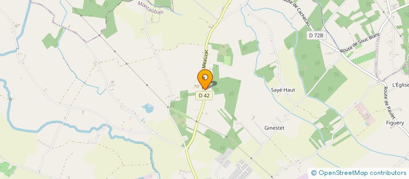 localisation de l'entreprise MADAME LILIANE CONTE  MONTAUBAN