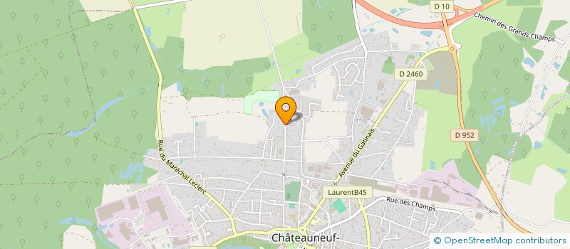 localisation de l'entreprise MADAME LILIANE DODIER à CHATEAUNEUF-SUR-LOIRE