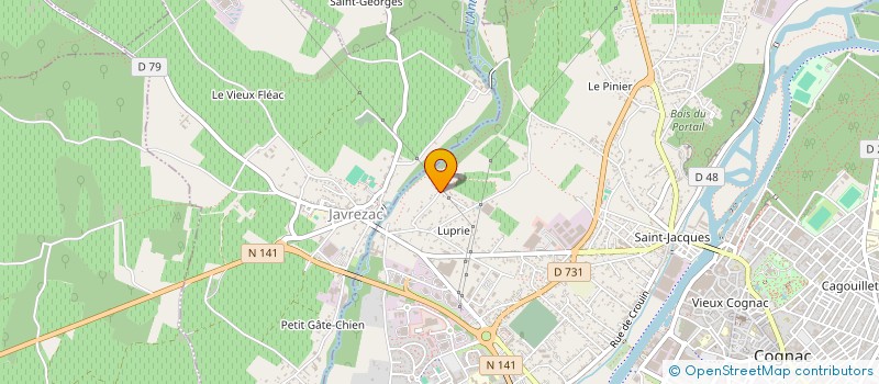 localisation de l'entreprise MADAME LILIANE FELTAIN à COGNAC