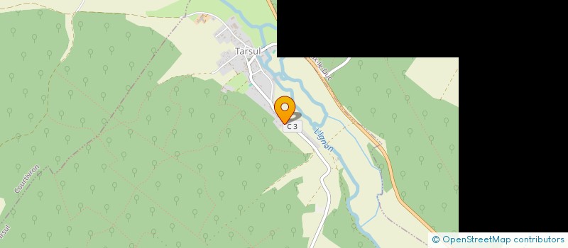 localisation de l'entreprise MADAME LILIANE LARGE  TARSUL