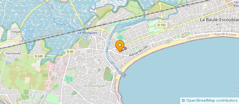 localisation de l'entreprise MADAME LILIANE PASGRIMAUD à LA BAULE-ESCOUBLAC