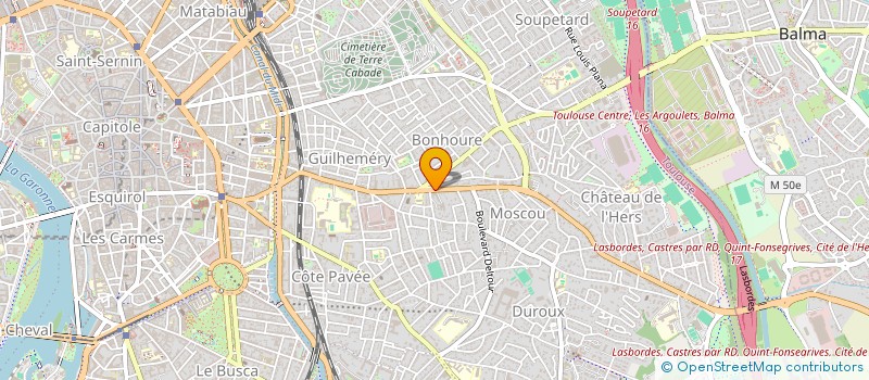 localisation de l'entreprise MADAME LILIANE POZZOBON à TOULOUSE