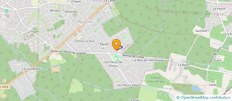 localisation de l'entreprise MADAME LILIANE VALES  CESTAS