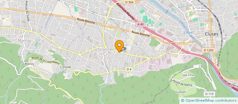 localisation de l'entreprise MADAME LILIANE YERLIKAYA  SCIONZIER