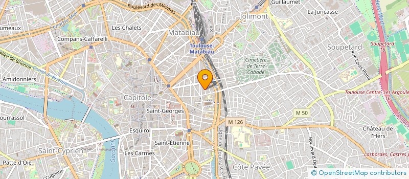 localisation de l'entreprise MADAME LILIE ASSIMEAU  TOULOUSE