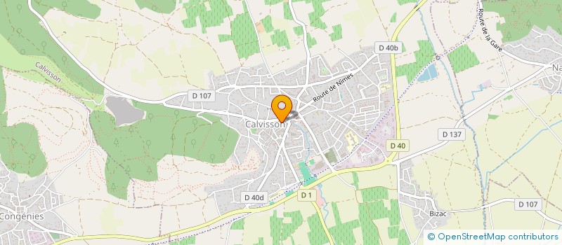 localisation de l'entreprise MADAME LILIIA SMIRNOVA  CALVISSON