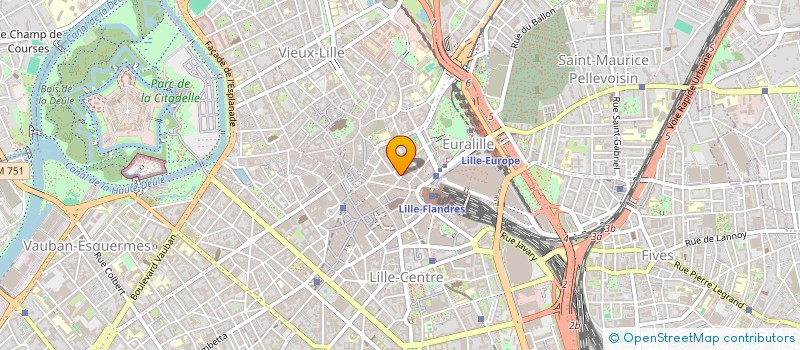 localisation de l'entreprise MADAME LILOU CHOUIN à LILLE