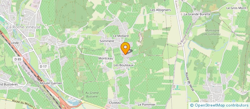 localisation de l'entreprise MADAME LILOU-ZOE BERNARD  LA ROCHE-VINEUSE