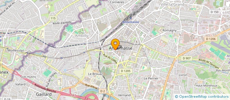 localisation de l'entreprise MADAME LILY BORGNA  ANNEMASSE