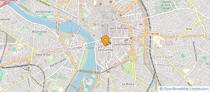 localisation de l'entreprise MADAME LINA CHORFI  TOULOUSE