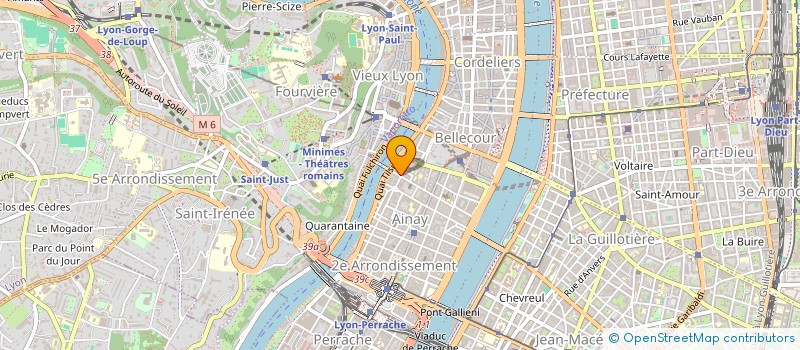 localisation de l'entreprise MADAME LINA PEPINTER à LYON
