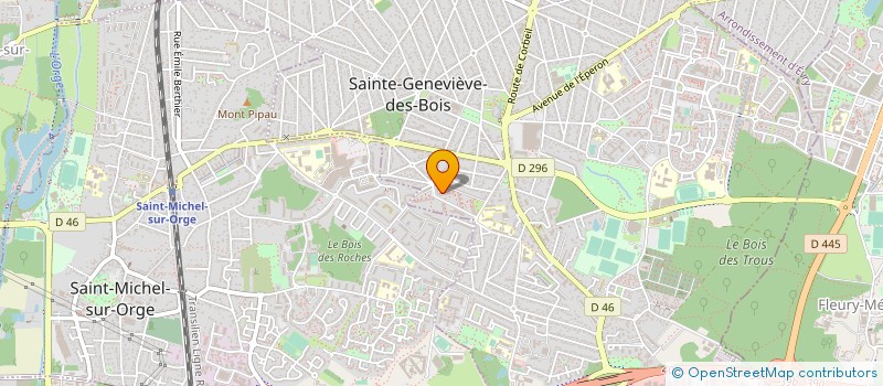 localisation de l'entreprise MADAME LINA SOUCHANE à SAINTE-GENEVIEVE-DES-BOIS