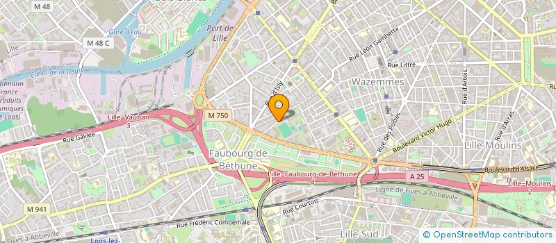localisation de l'entreprise MADAME LINA YAQUBIAN à LILLE