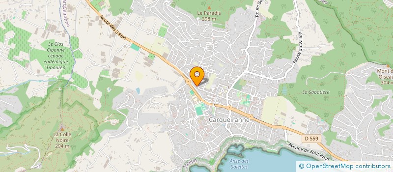 localisation de l'entreprise MADAME LINDA CORINI CORINI  CARQUEIRANNE