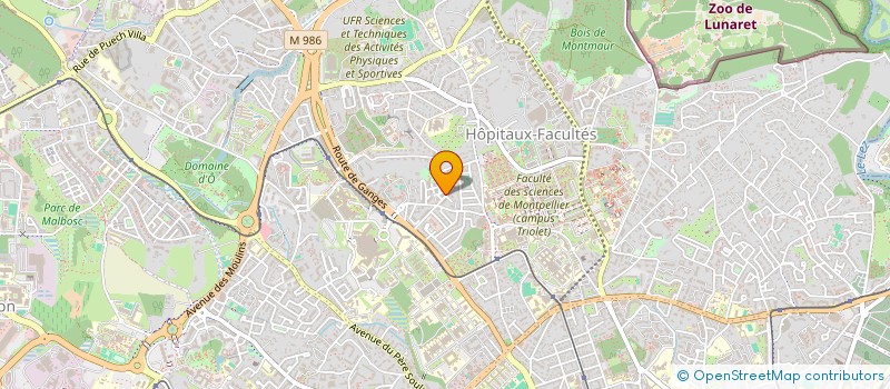 localisation de l'entreprise MADAME LINDA ELKAIM à MONTPELLIER