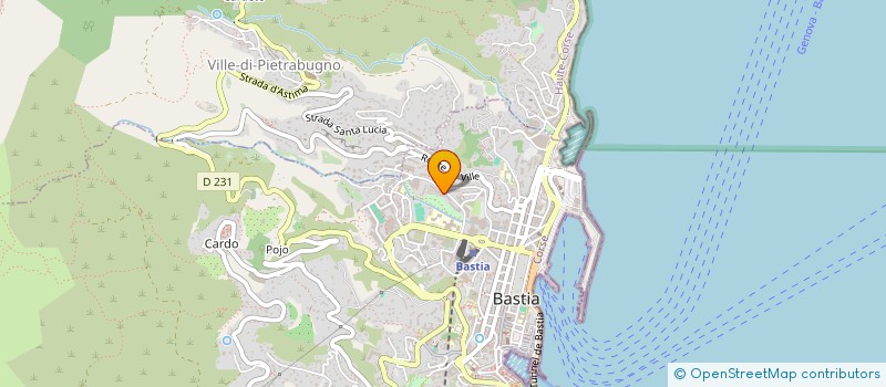 localisation de l'entreprise MADAME LINDA GROSS à BASTIA