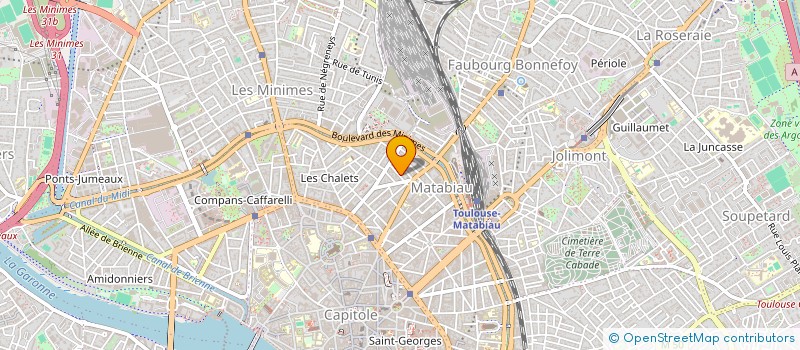 localisation de l'entreprise MADAME LISA BLANC  TOULOUSE