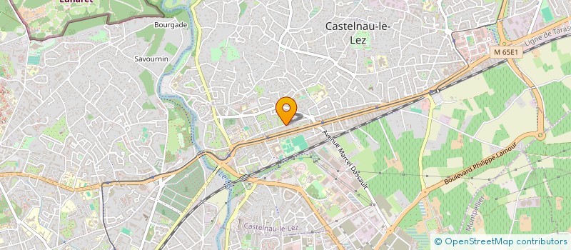 localisation de l'entreprise MADAME LISA CHENU-BOLOGNA à CASTELNAU-LE-LEZ
