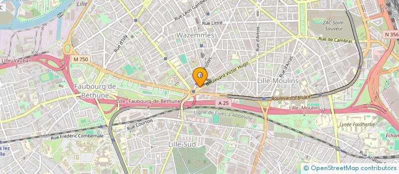 localisation de l'entreprise MADAME LISA DAHMOUNE à LILLE