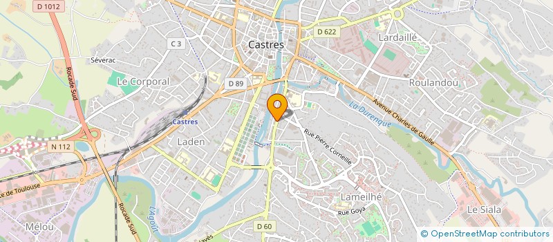 localisation de l'entreprise MADAME LISA DUBOIS  CASTRES