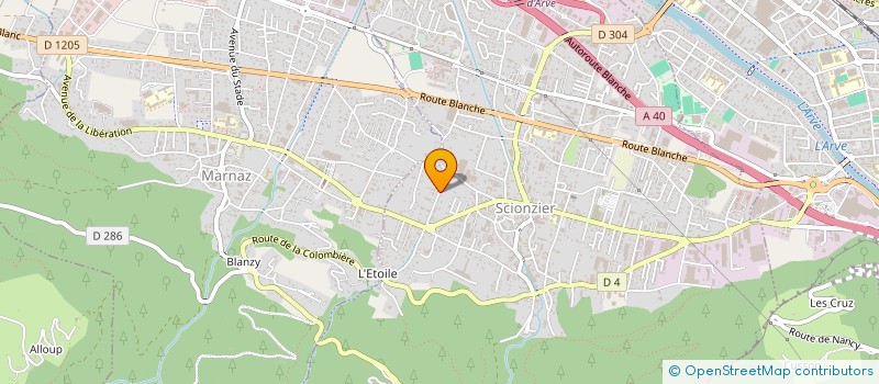 localisation de l'entreprise MADAME LISA LEVASSEUR  SCIONZIER