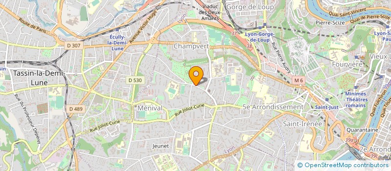 localisation de l'entreprise MADAME LISA LOPPIN  TASSIN-LA-DEMI-LUNE