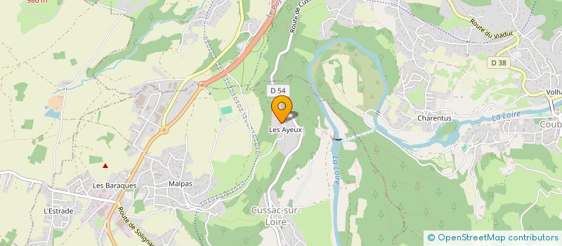 localisation de l'entreprise MADAME LISA MAHINC  CUSSAC-SUR-LOIRE