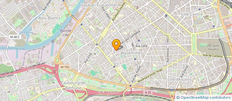 localisation de l'entreprise MADAME LISA MANSOURI à LILLE