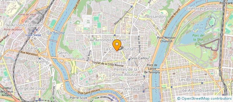 localisation de l'entreprise MADAME LISA PERELMUTER  LYON