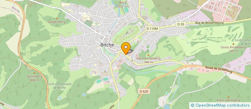 localisation de l'entreprise MADAME LISA REICH  SARREGUEMINES