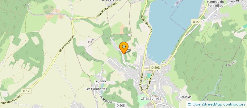 localisation de l'entreprise MADAME LISA-ROSE PERICHAUD  CHARAVINES