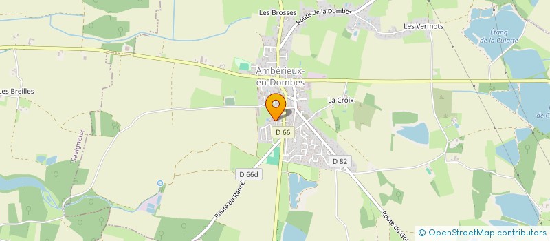 localisation de l'entreprise MADAME LISA RUIZ à AMBERIEUX-EN-DOMBES